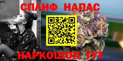 a pvp Славгород