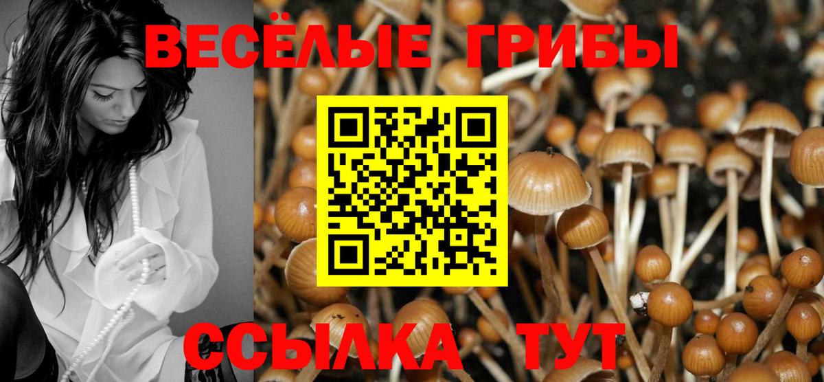 Галлюциногенные грибы ЛСД  Вход с VPN  Галлюциногенные грибы Cubensis  Советский 