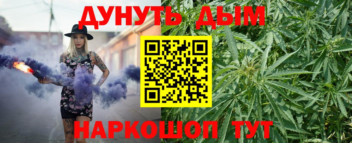 Бошки Шишки сатива  Марихуана семена  МАРИХУАНА ГИДРОПОН  Советский  Вход с VPN 
